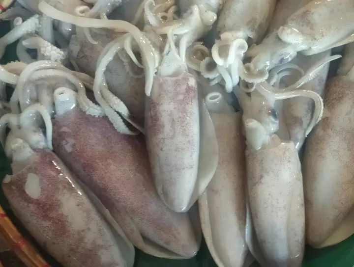 FRESH SEAFOODS SQUID ( PUSIT ) 500 grams