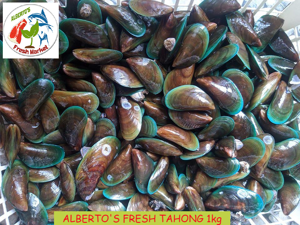 FRESH SEAFOODS TAHONG 1kg